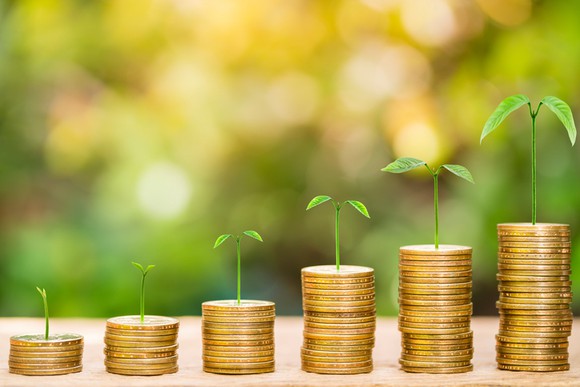 A succession of stacks of coins growing taller, with larger seedlings on each pile.