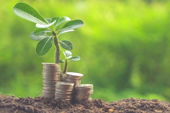 Plants growing out of coin stacks.