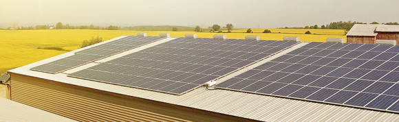 Rooftop solar panels at an agricultural facility, surrounded by yellow-flowering fields on a hazy sunny day.