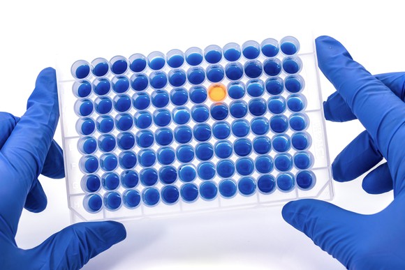 Gloved hands holding a well plate with samples.