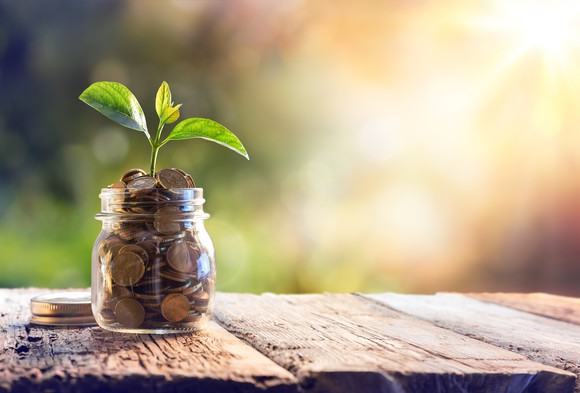 Jar full of coins on a wooden table with a plant growing out of it.