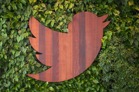 Twitter logo made of stained wood with leaves in the background