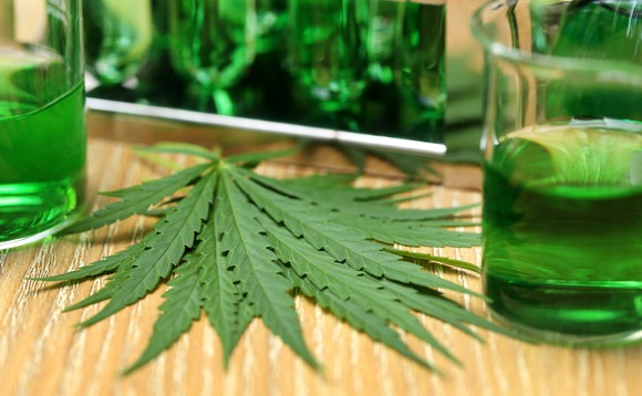 Marijuana leaf next to beakers containing green fluid