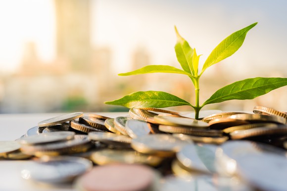 A plant begins to grow in a pile of coins on a desk. A city skyline is in the background.