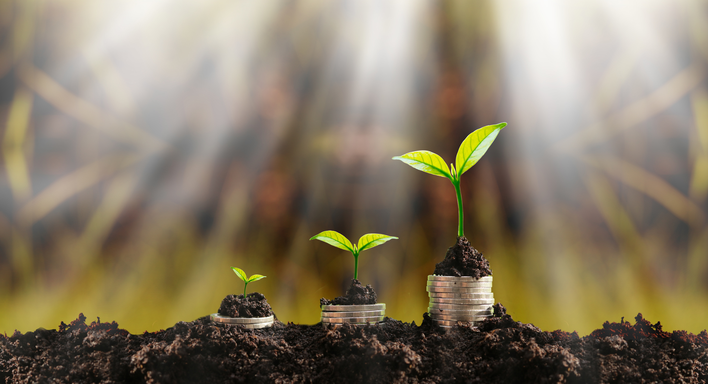 Stacks of coins in dirt getting progressively larger, with plants springing up on top of the stacks.