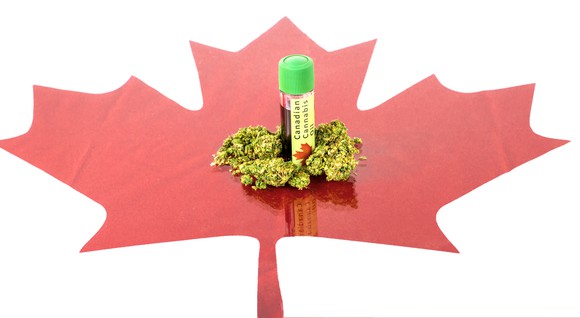 Marijuana buds and cannabis oil bottle on top of red Canadian maple leaf cut-out