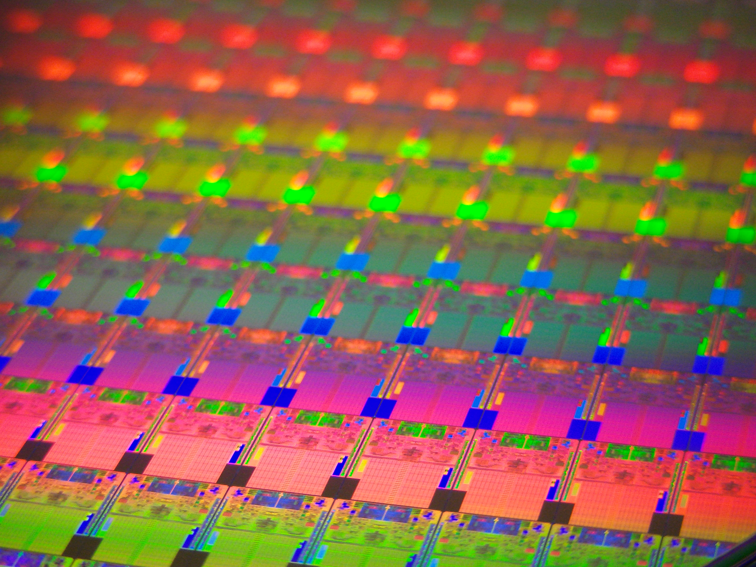 A wafer of Intel processors.