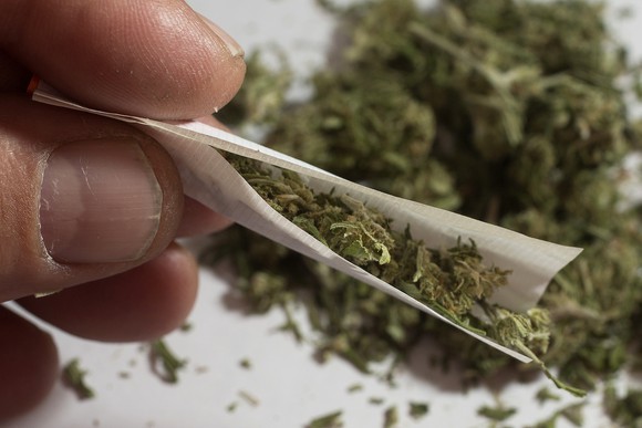 A person rolling a cannabis joint, with dried cannabis on a table.