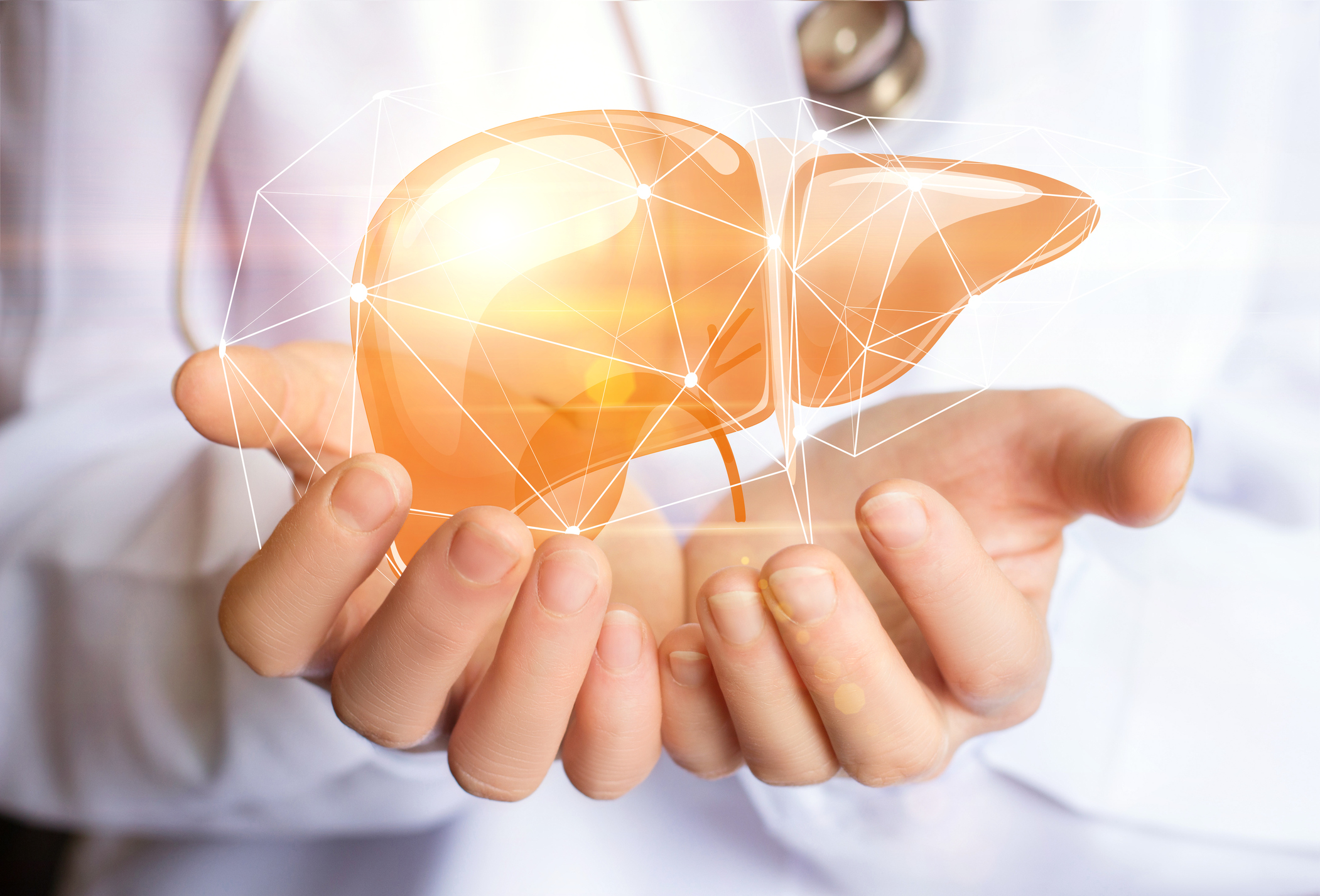 A doctor cupping their hands under a digital image of a liver.