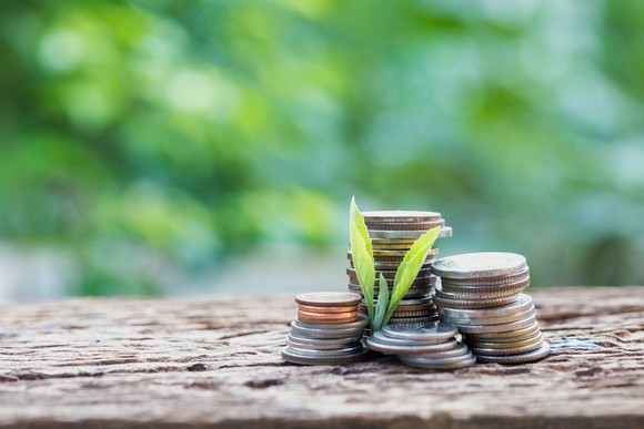 Stacks of coins on a table with a plant growing near them.