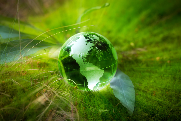 A green globe sitting on the grass.