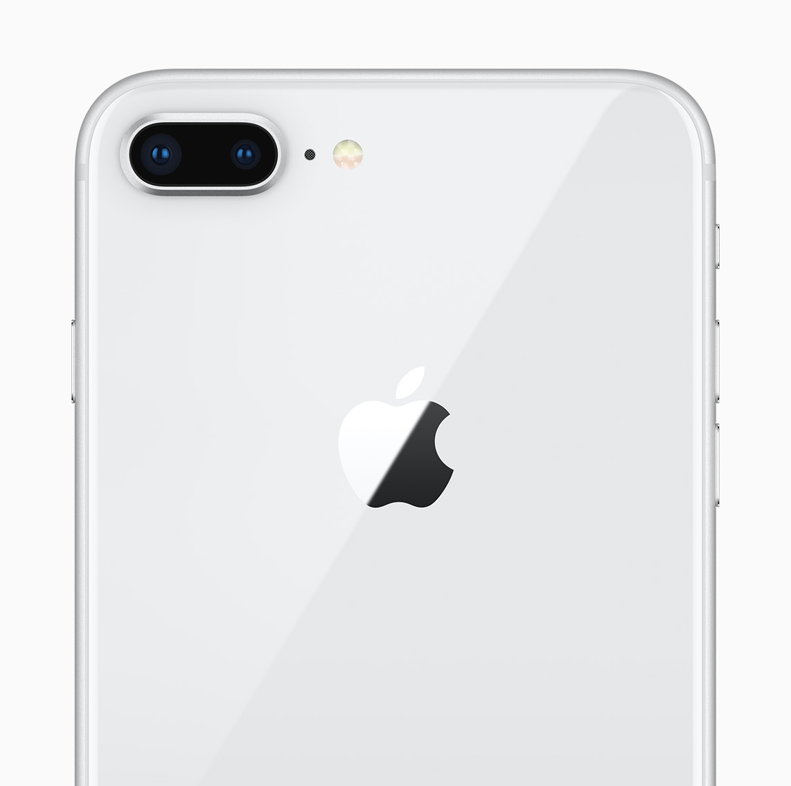 The back of the iPhone 8 highlighting the 12 megapixel camera.