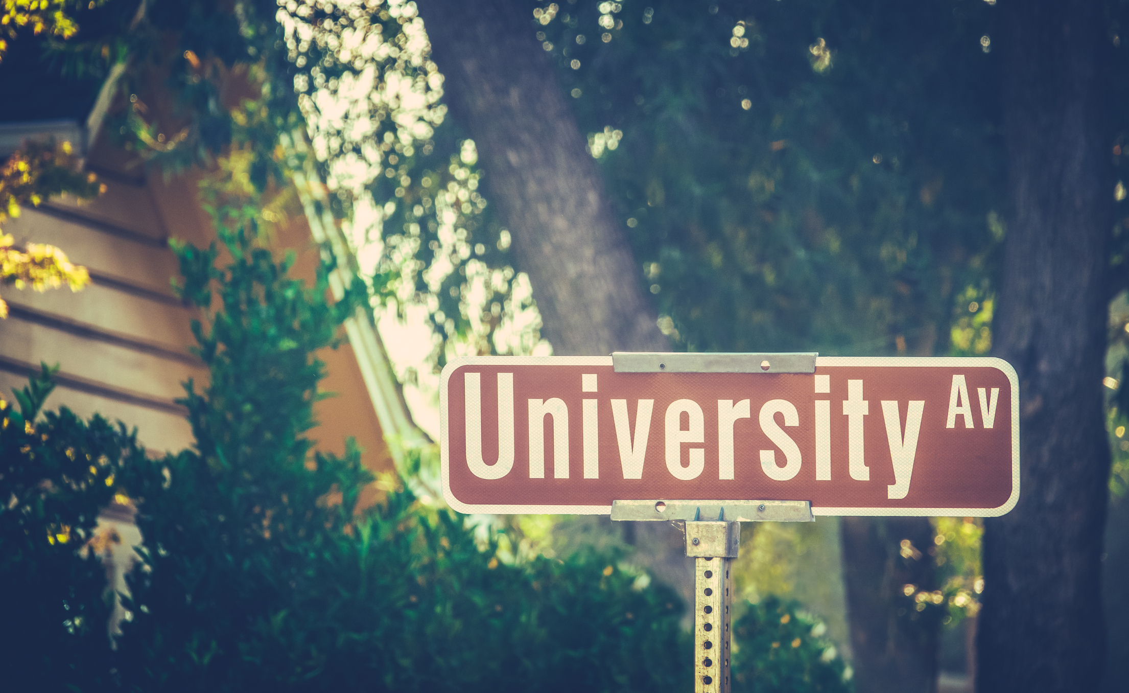 Street sign on leafy college street which reads "University Av."