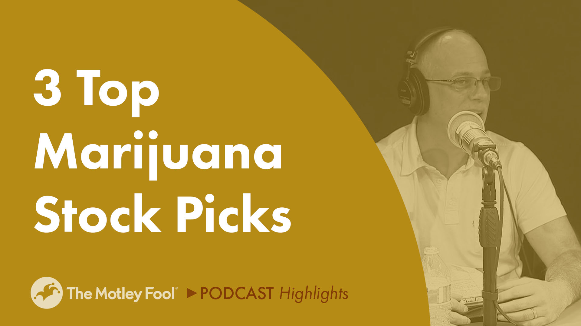 3 Top Marijuana Stock Picks The Motley Fool