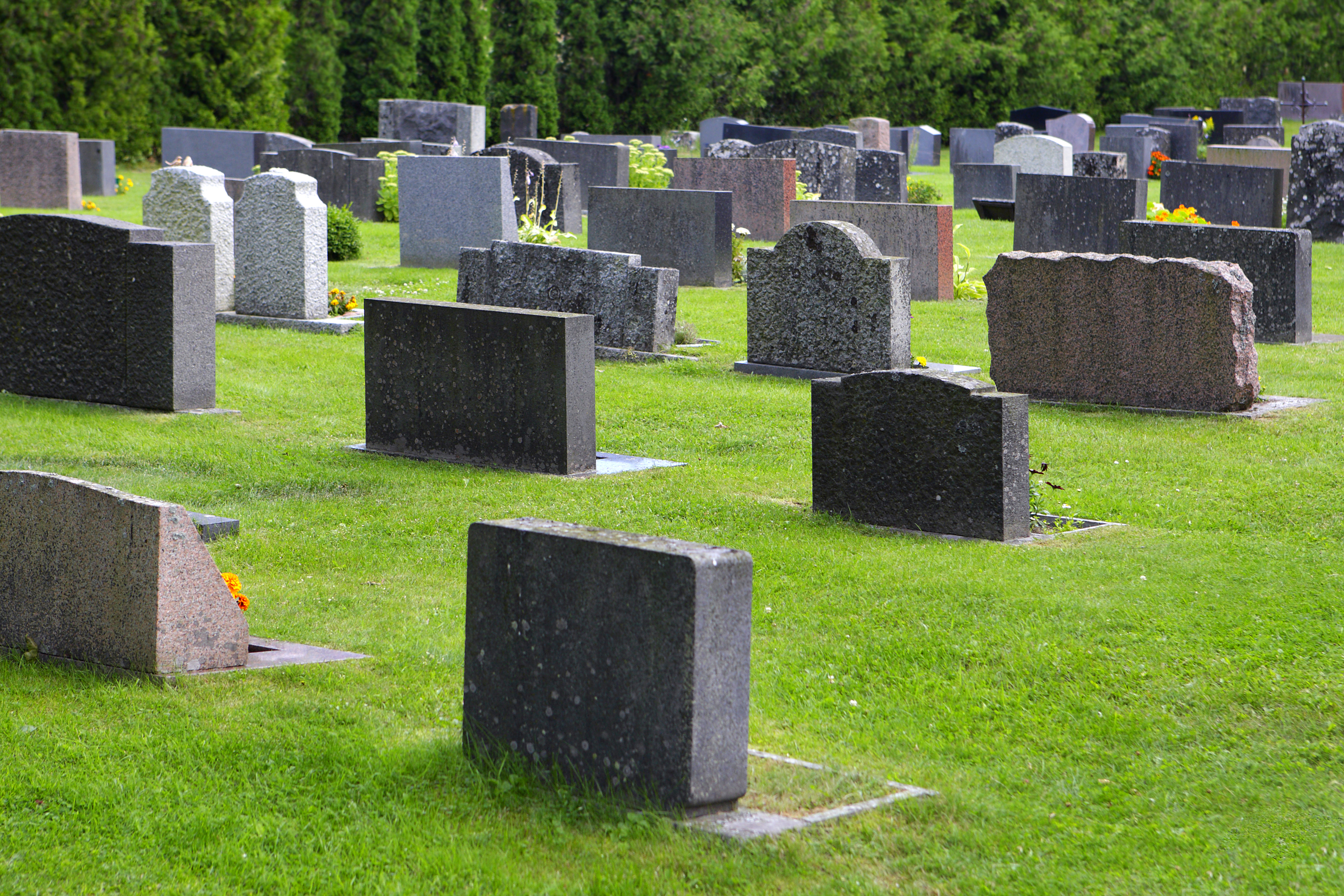 Gravestones in a cemetery