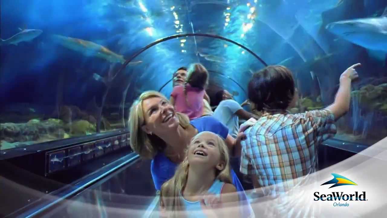 Shark Encounter at SeaWorld Orlando with guests riding a moving sidewalk through a shark-filled aquarium.