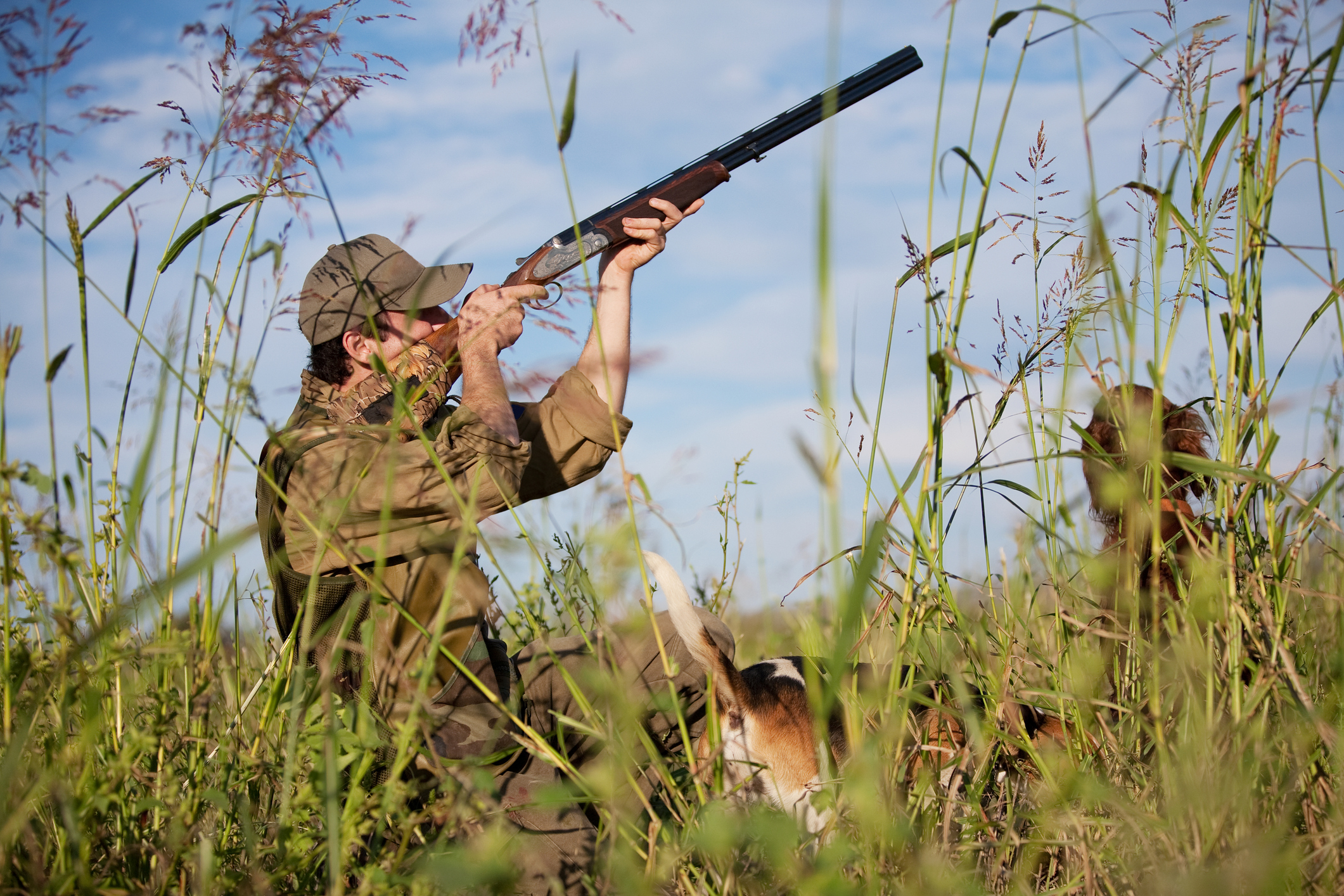 Man hunting in tall grass