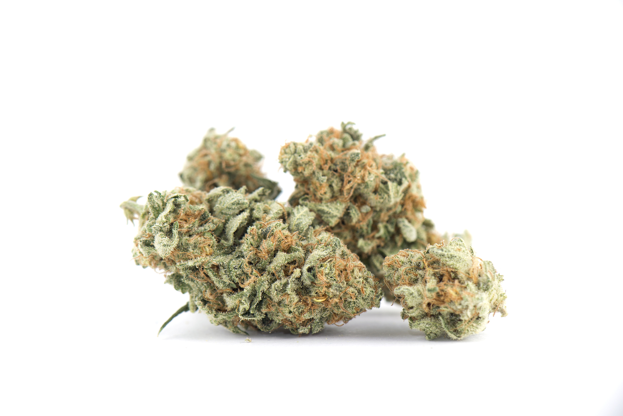 Two cannabis buds lying next to each other against a white background.