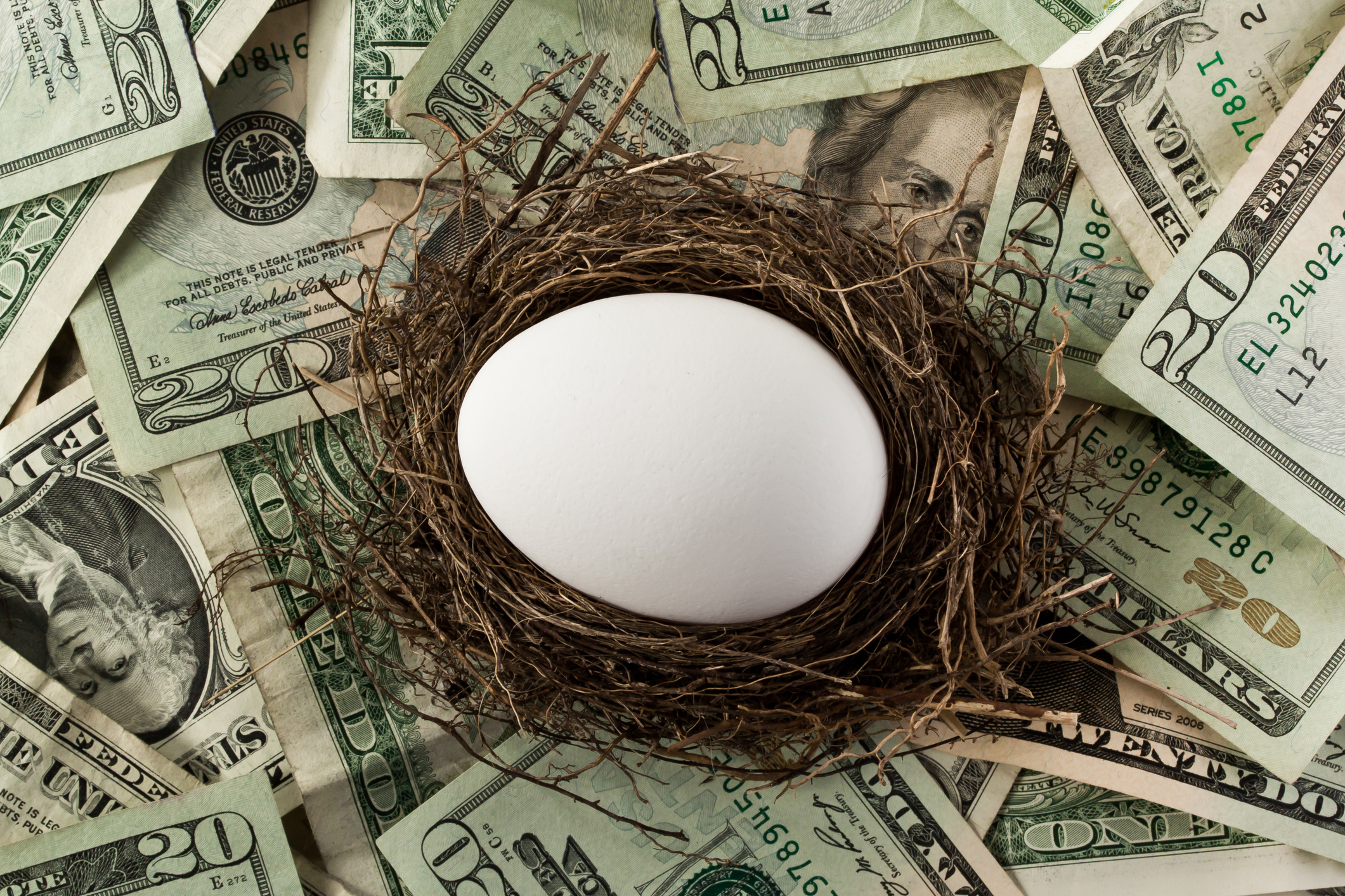 Egg sitting in nest on $20 bills
