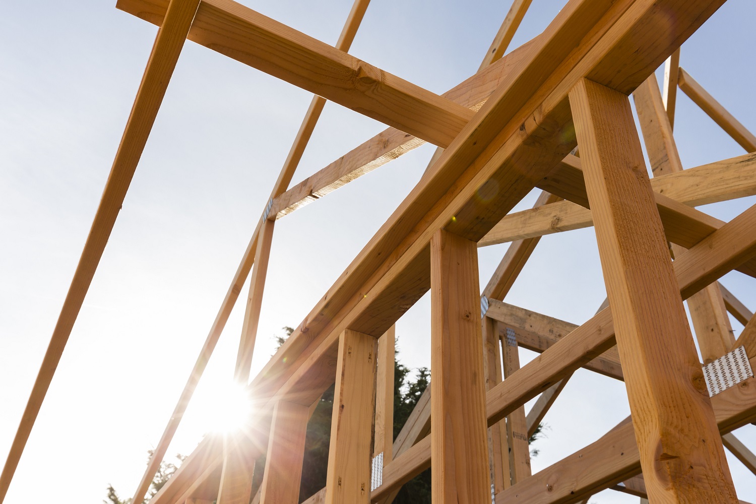 Wood frame of a house under construction.