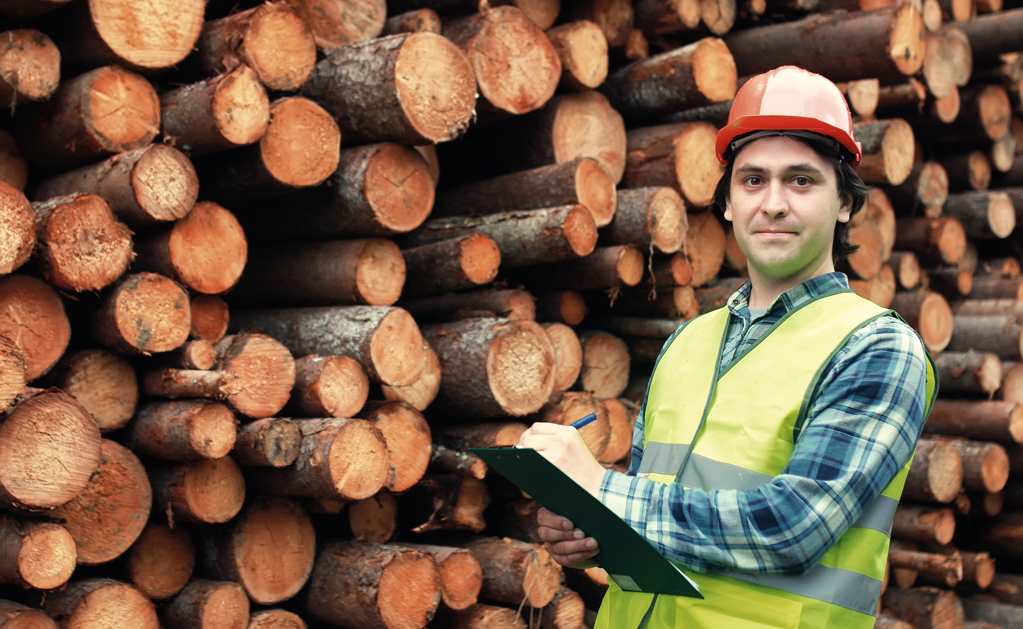 Weyerhaeuser stock options