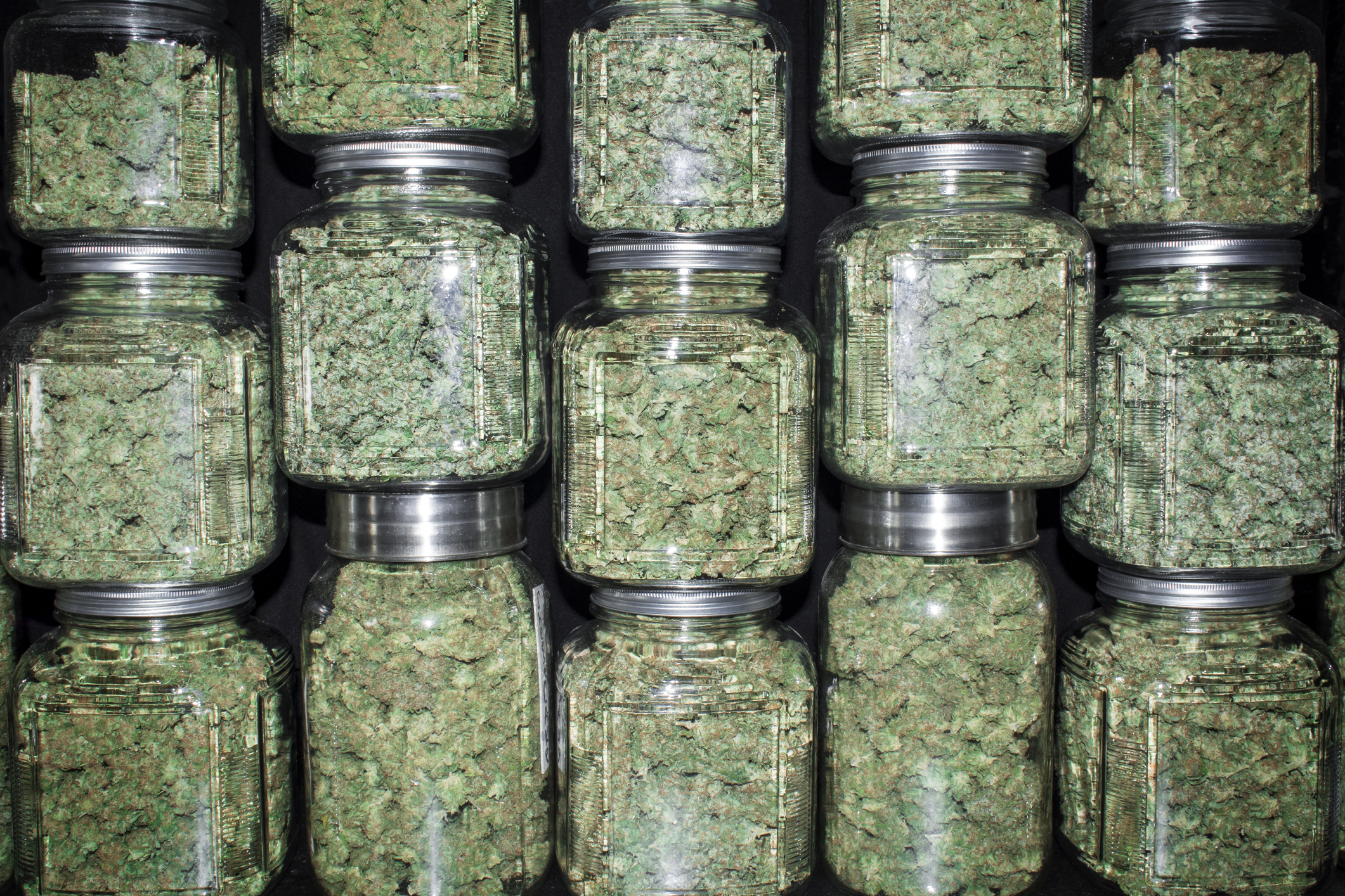 Clear jars packed with dried cannabis flower stacked atop one another.