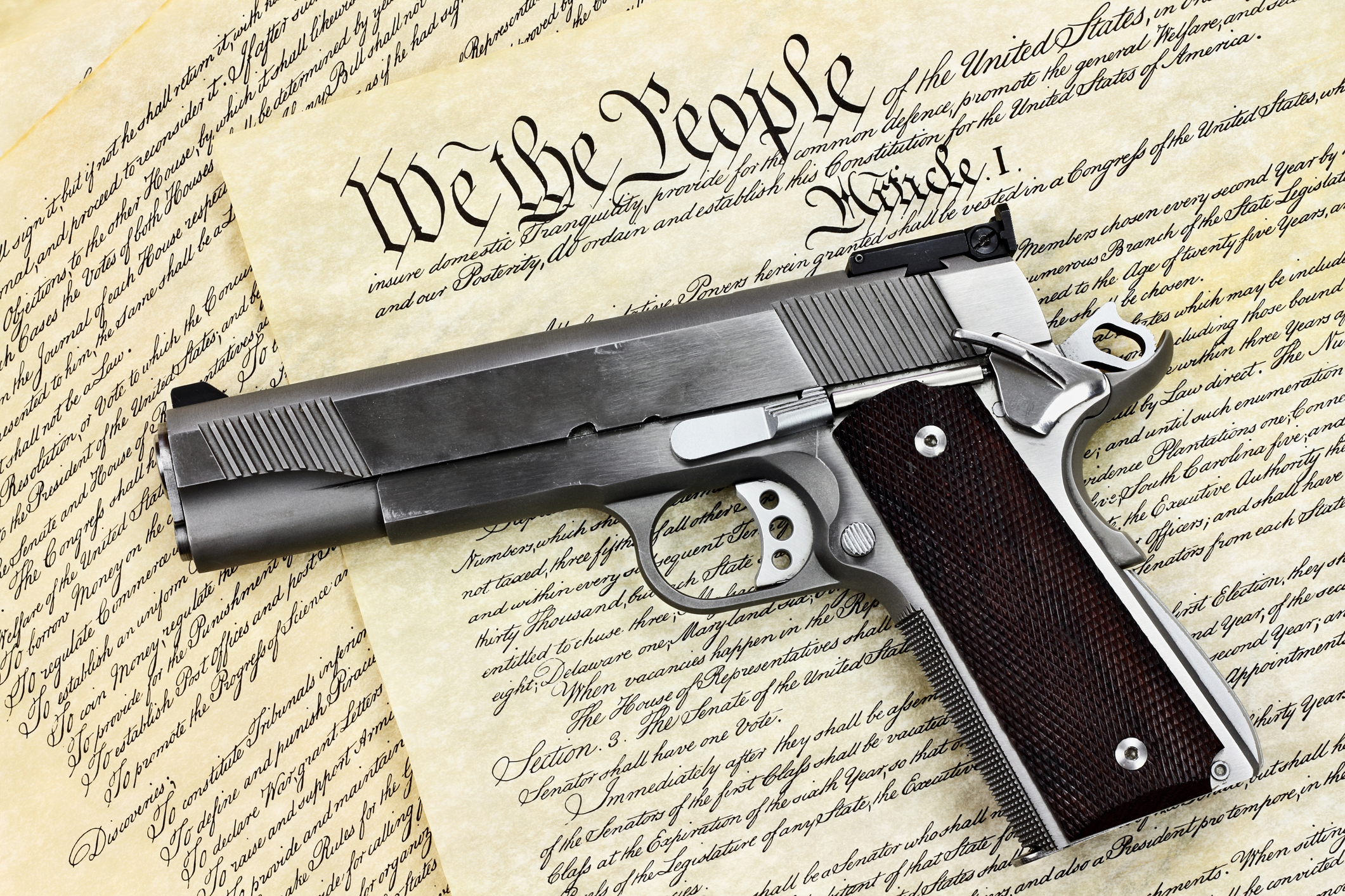 Pistol on the Constitution