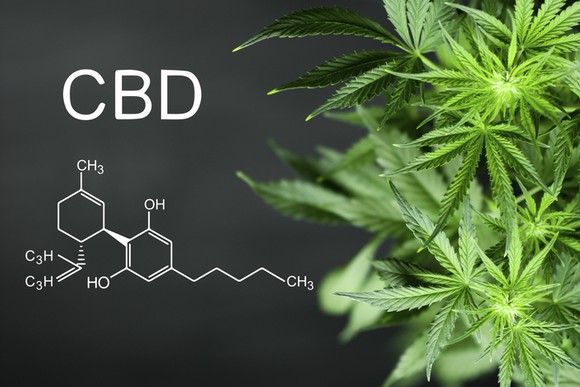 Cannabis plant on right side of image and the letters CBD with its chemical formula on left side.