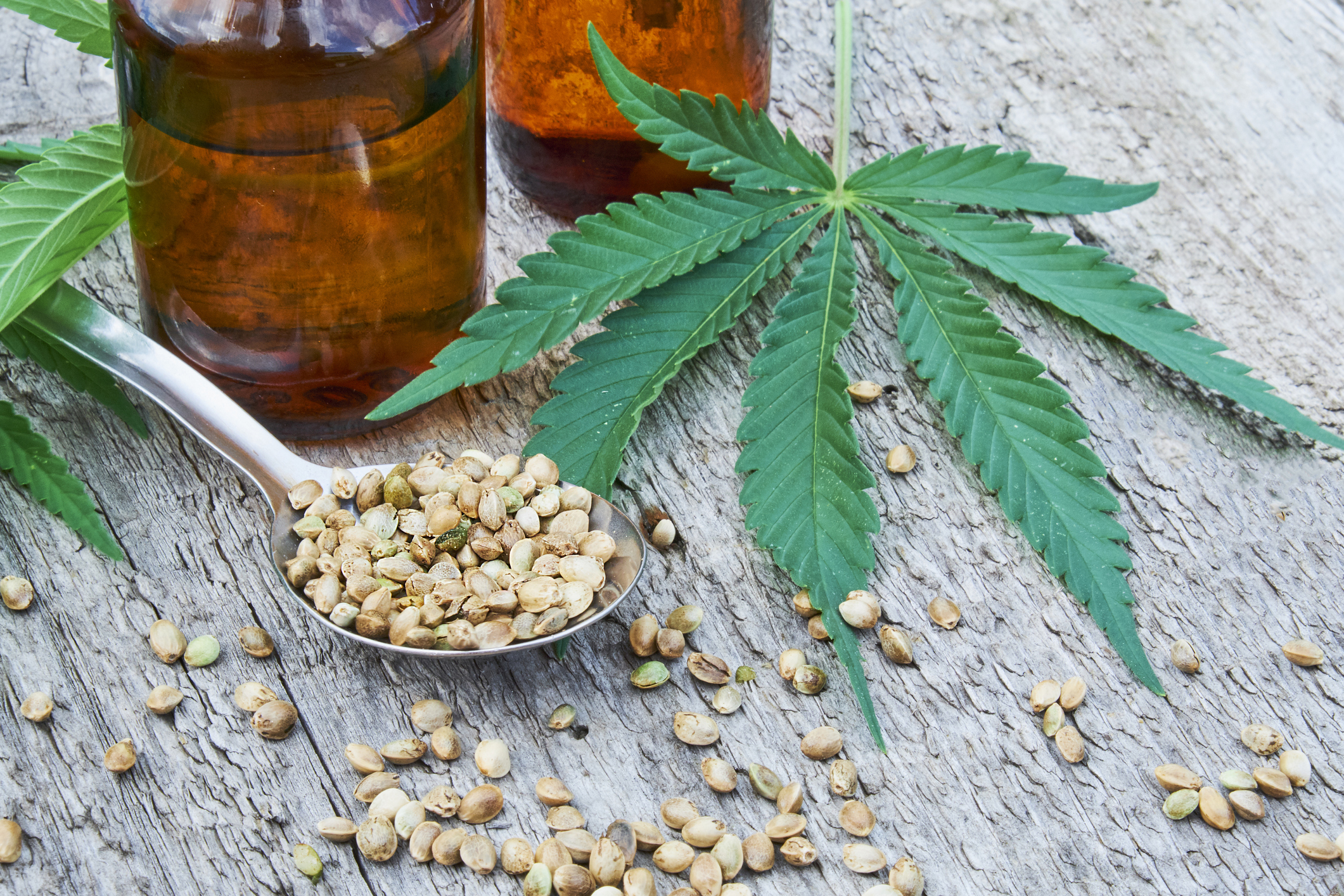 Hemp seeds in a spoon, on a table beside a hemp leaf
