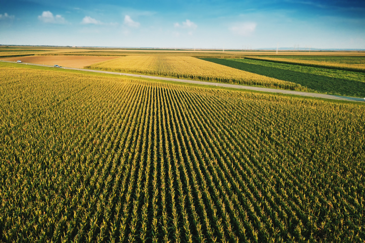 171 aerial corn field
