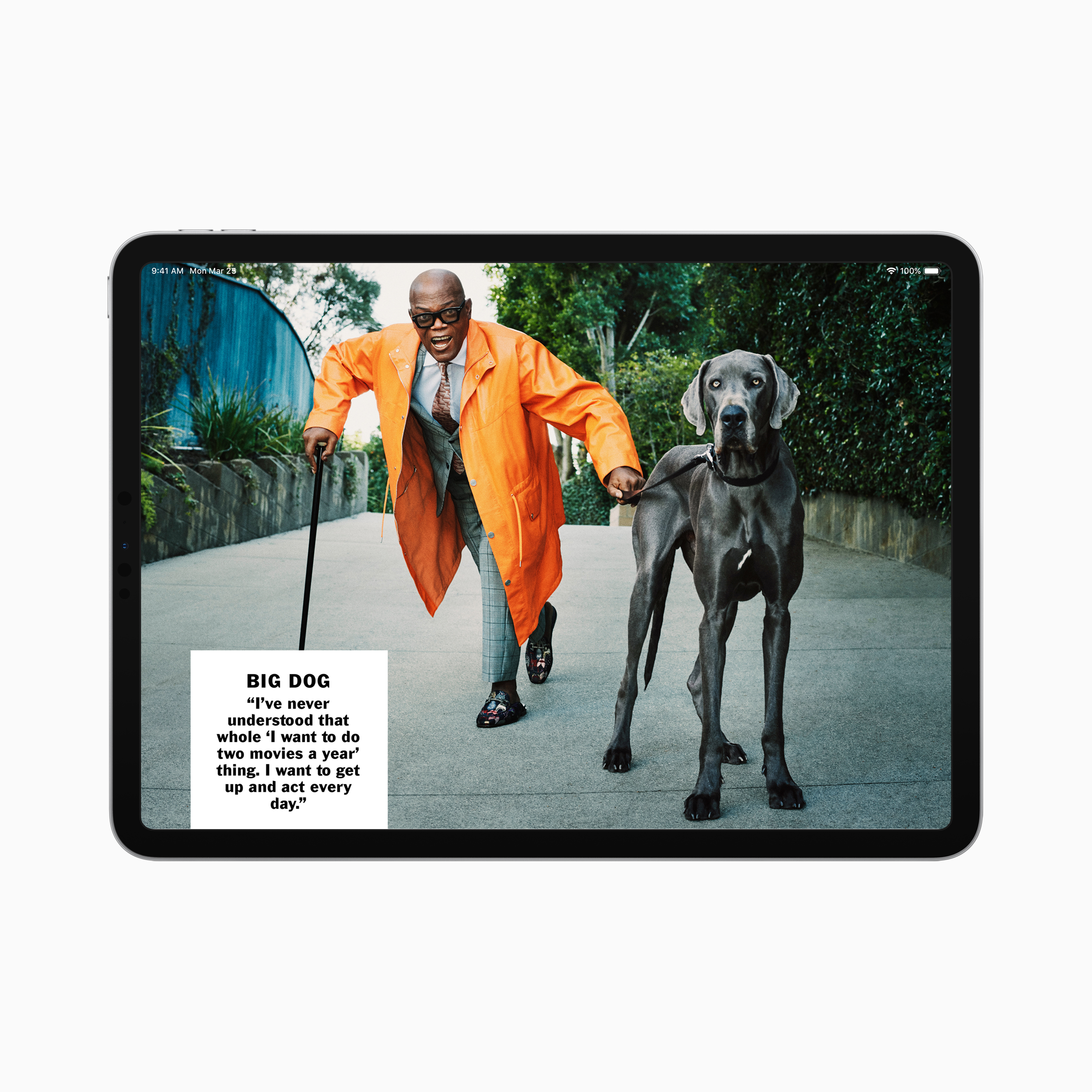 Actor Samuel L. Jackson walking with a cane in one hand and a Great Dane in the other.