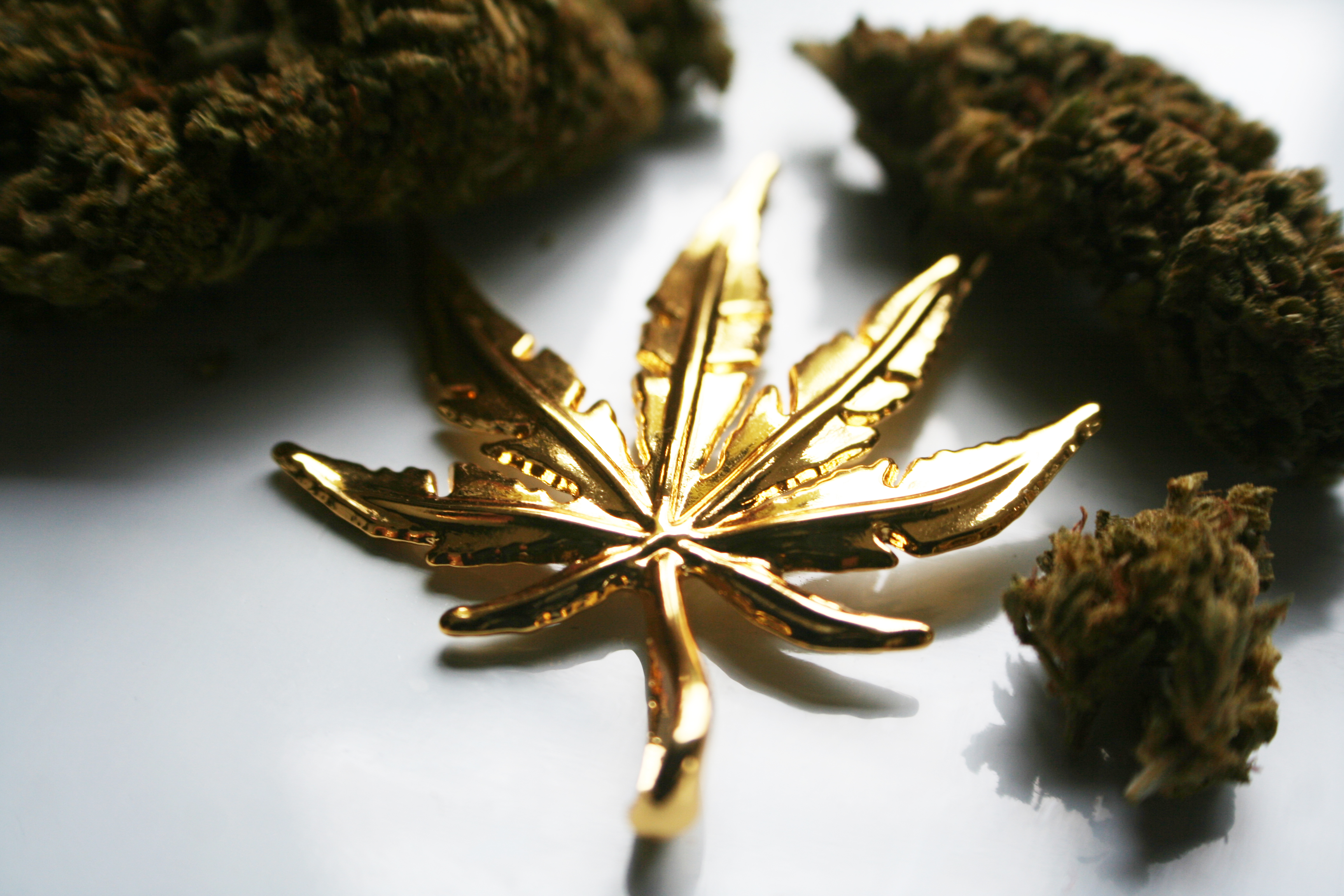 A golden marijuana leaf resting on a table next to dried marijuana buds.