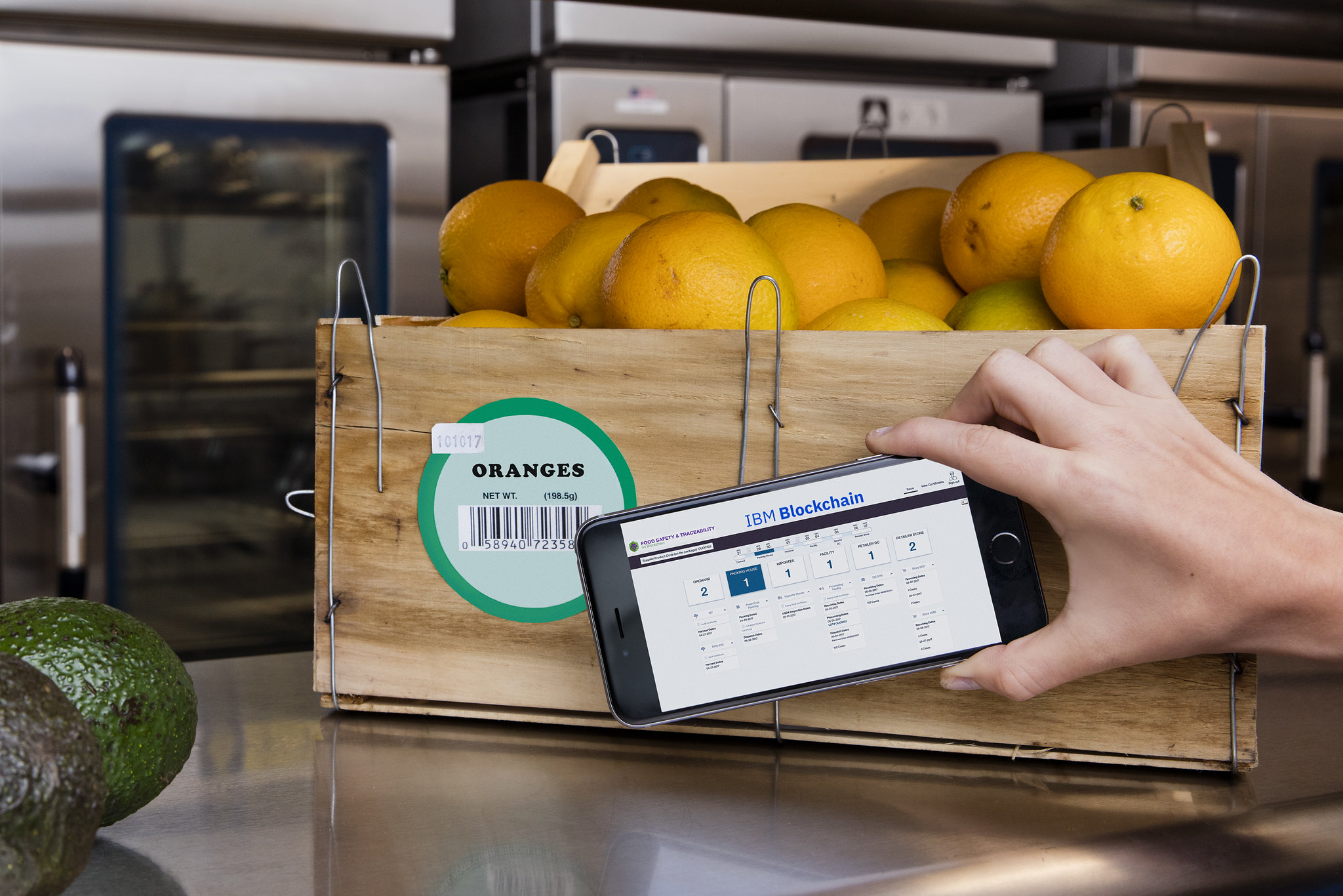 A hand holding a smartphone. The smartphone is being used to scan a bar code on a crate of oranges. The phone's display is running IBM blockchain software.