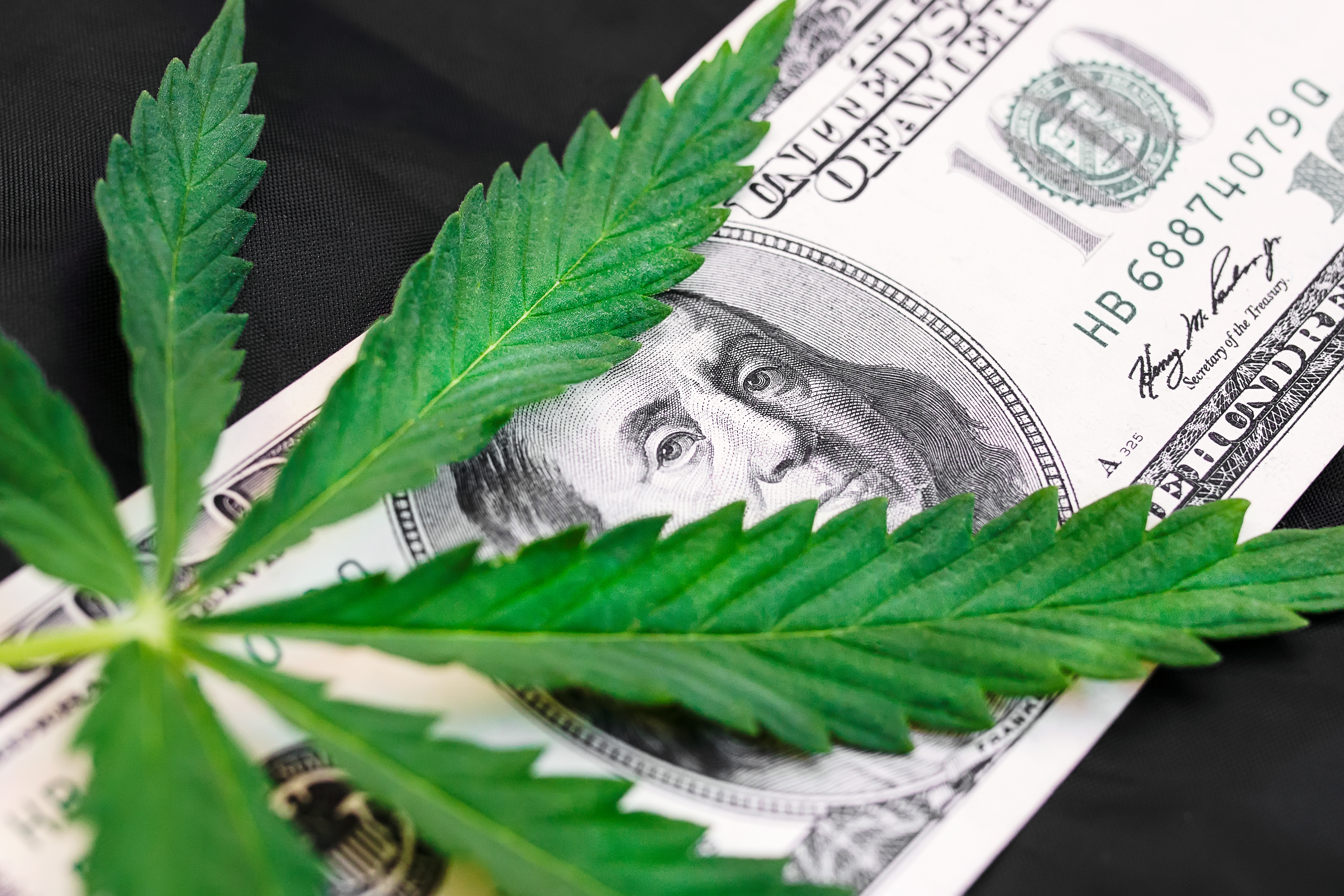 Why Marijuana Stock CannTrust Holdings Popped Today The Motley Fool