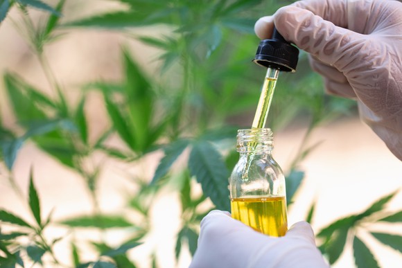 Two gloved hands holding a full vial and dropper of cannabidiol oil in front of a hemp plant.