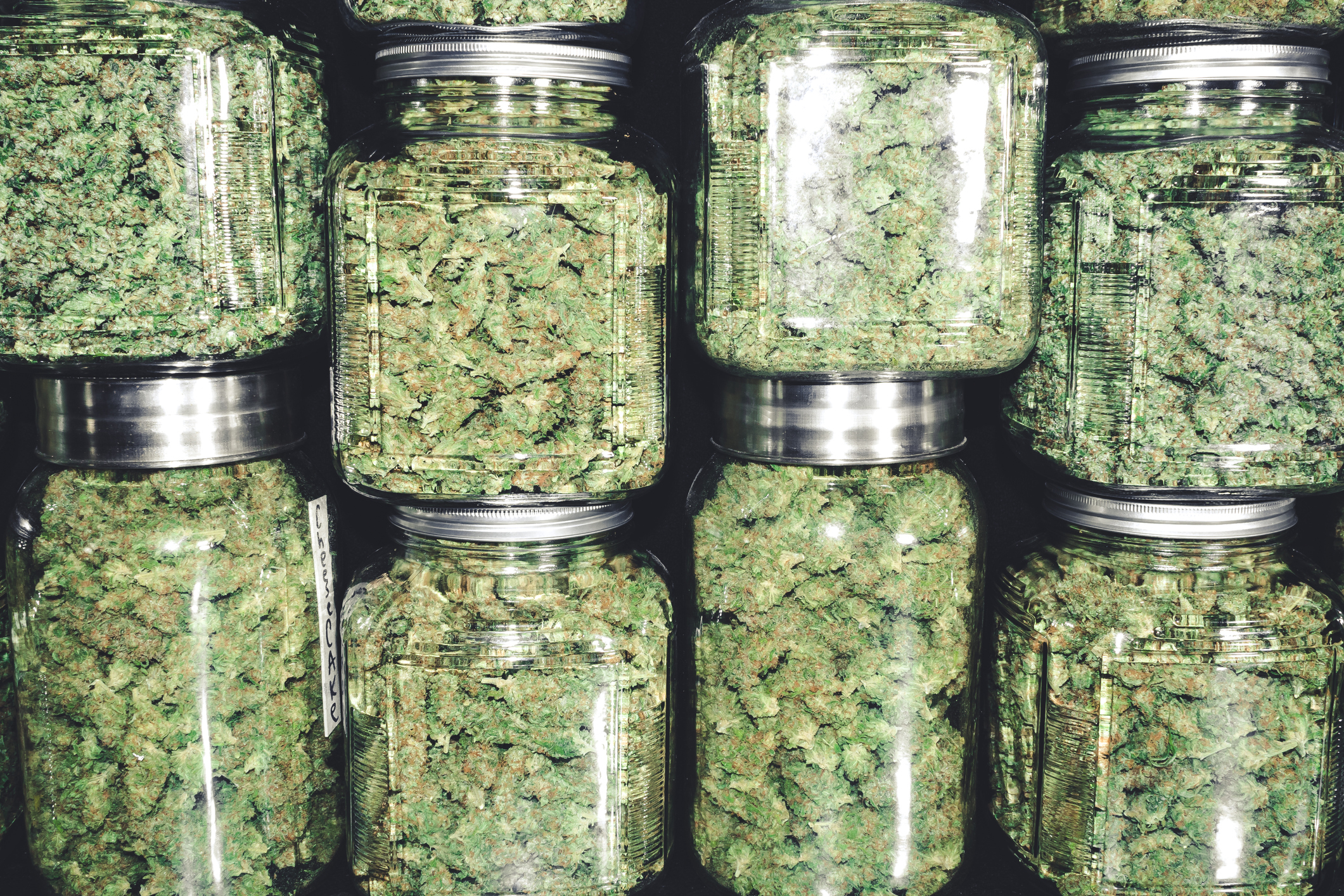 Stacks of sealed glass jars containing dried marijuana buds.