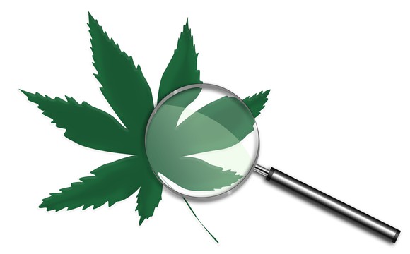 Magnifying glass on top of a cannabis leaf