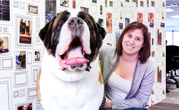 A smiling woman sitting next to and petting a giant St. Bernard dog.