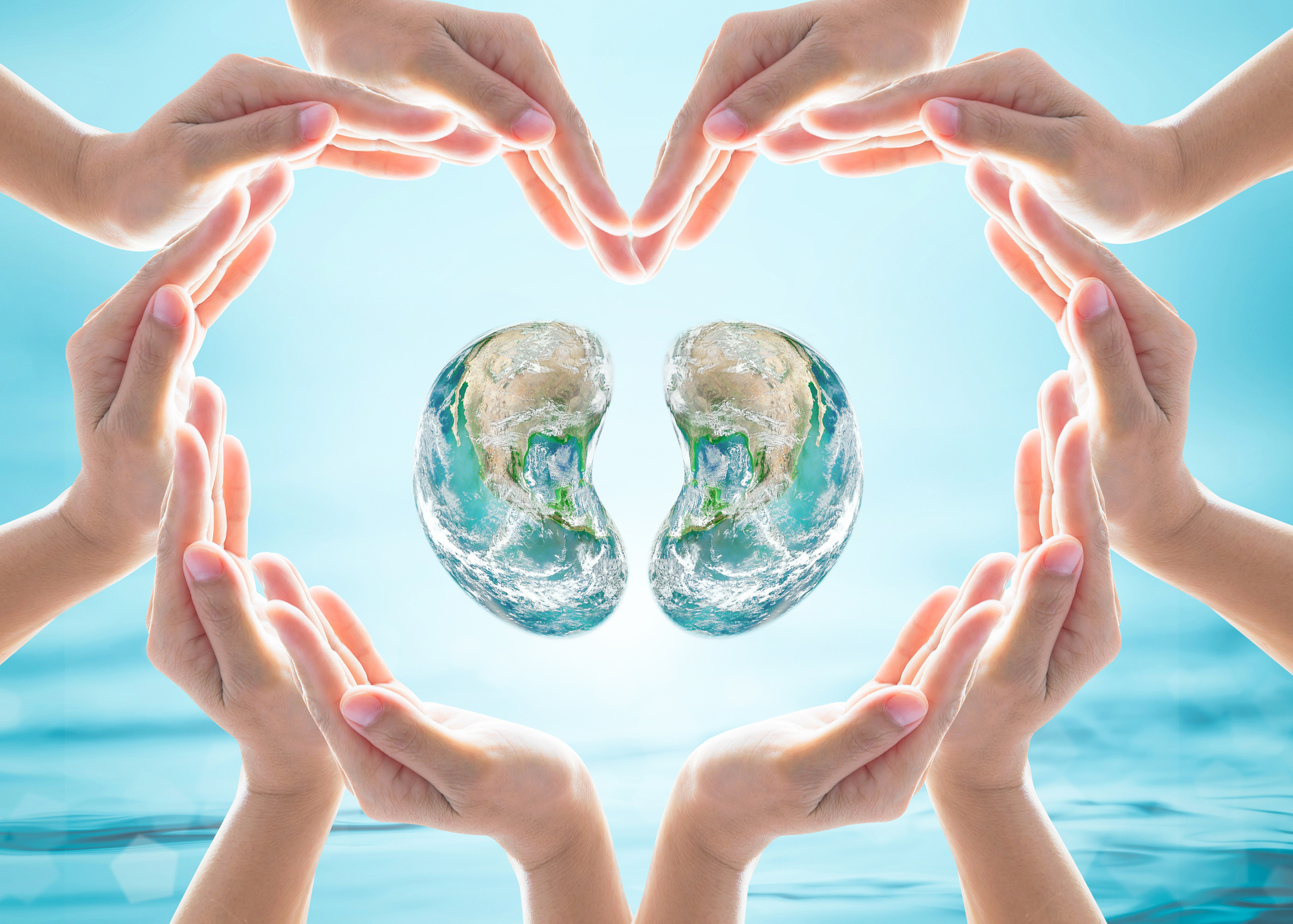 Multiple pairs of hands forming a heart around a pair of kidneys