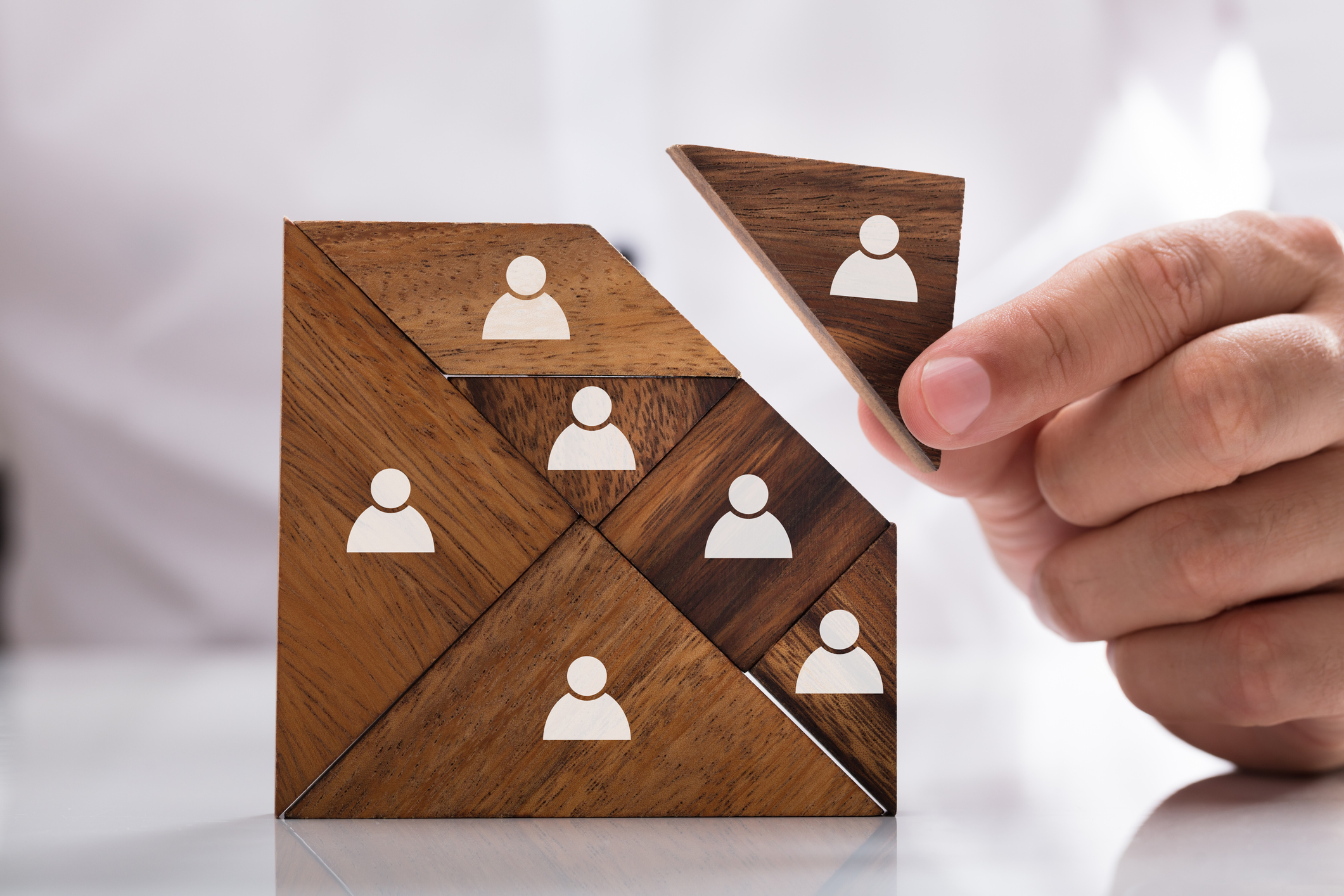 Human Resources Tangram Concept