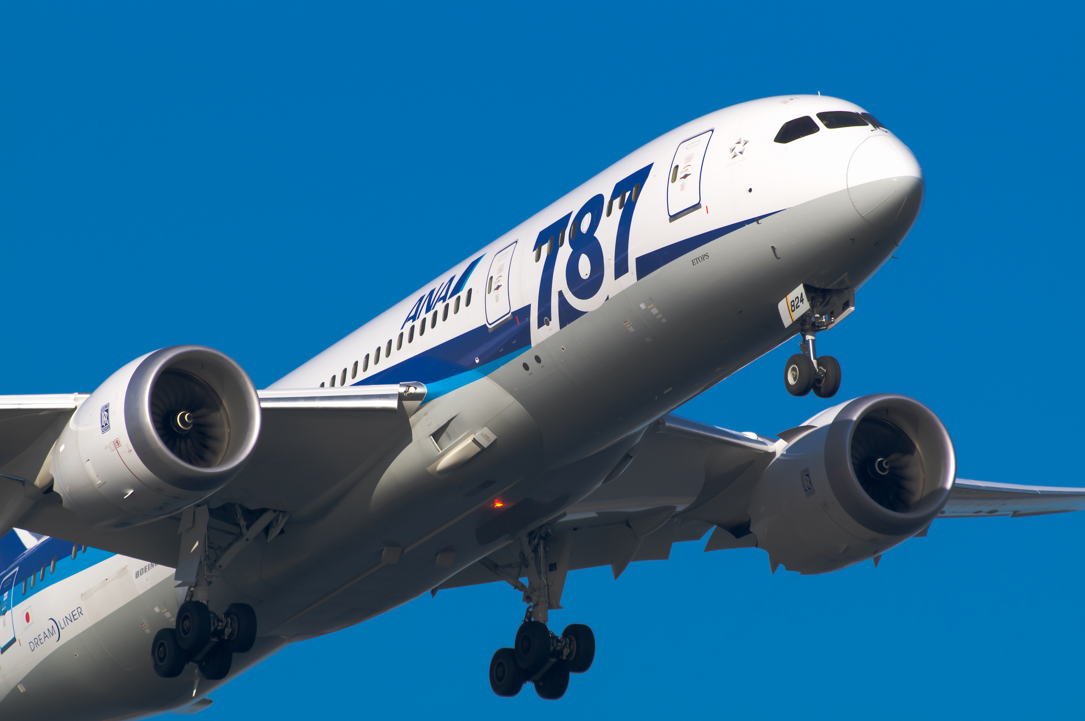 A Boeing 787 in flight