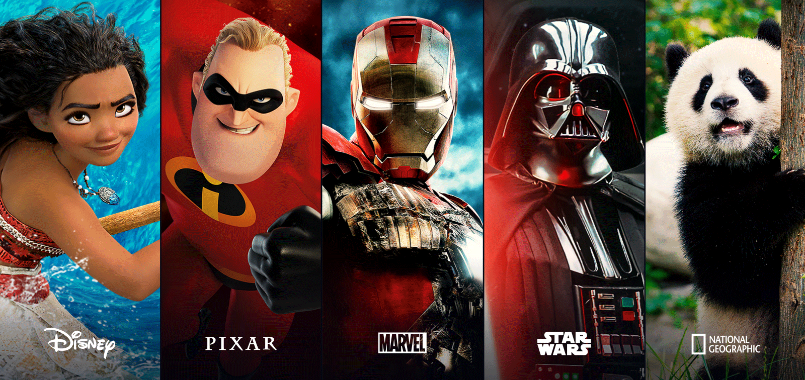 Disney+ Subscribers Could Be Double the Company's Initial Forecast
