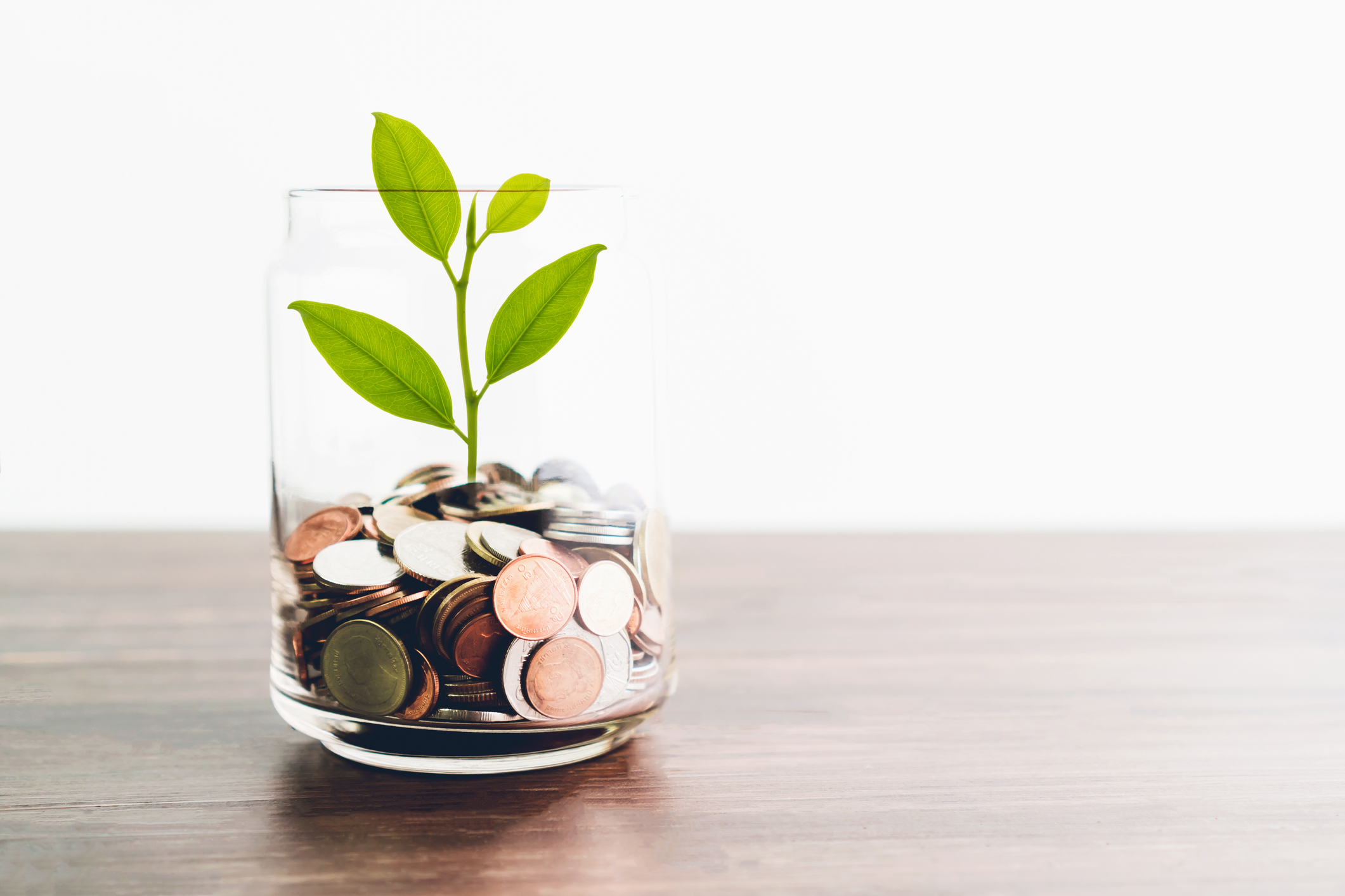 A glass jar full of coins with a green plant growing out of it.