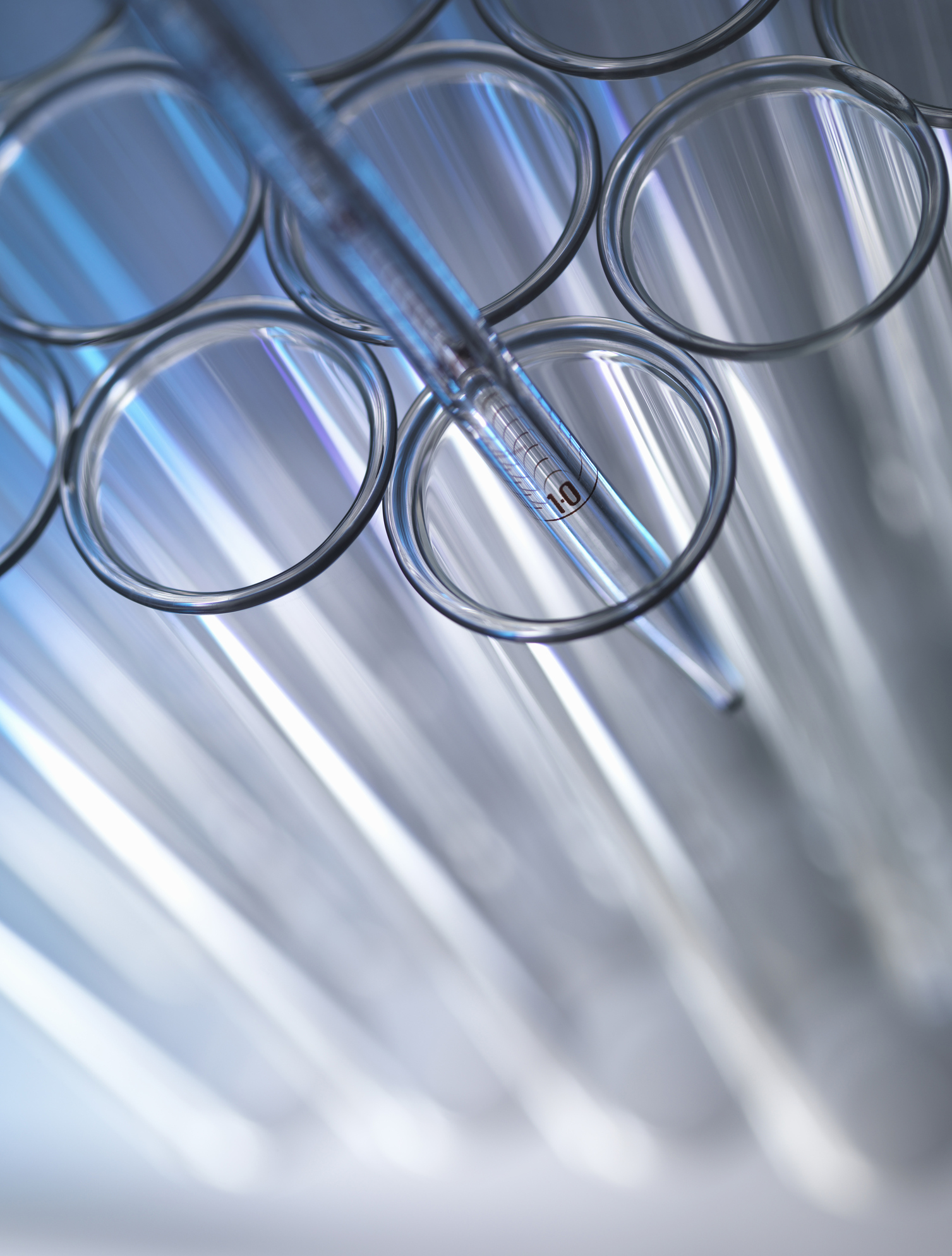 A close-up of rows of test tubes.