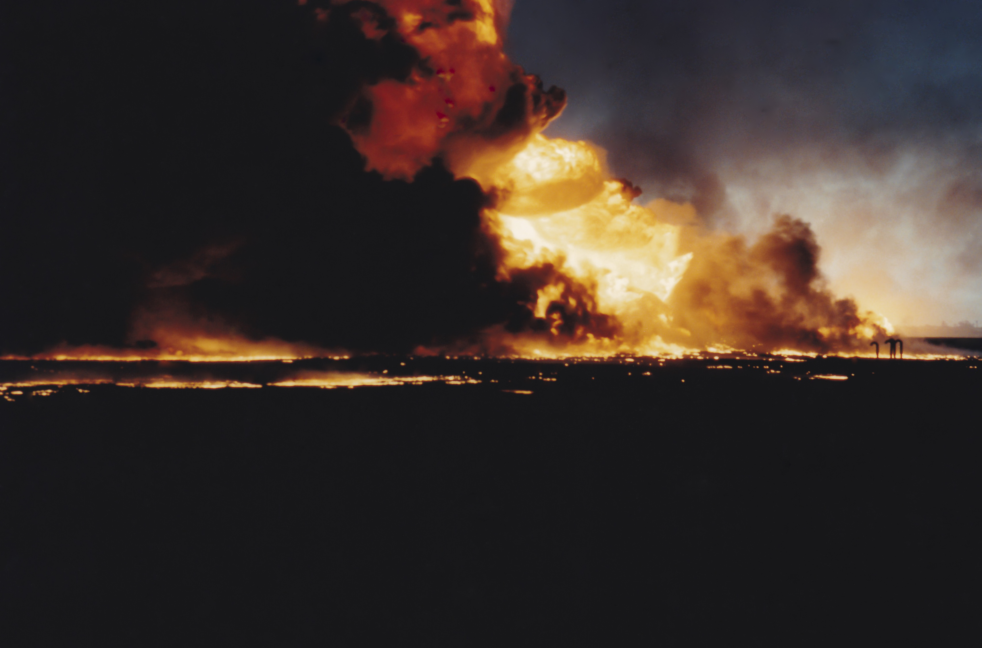 Why Are Oil Stock Down Today at Gary Howard blog