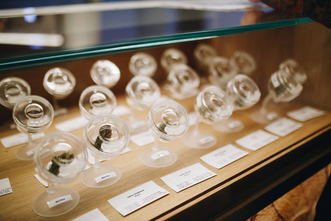 An immersion station with dried cannabis flower in Planet 13's Las Vegas SuperStore.