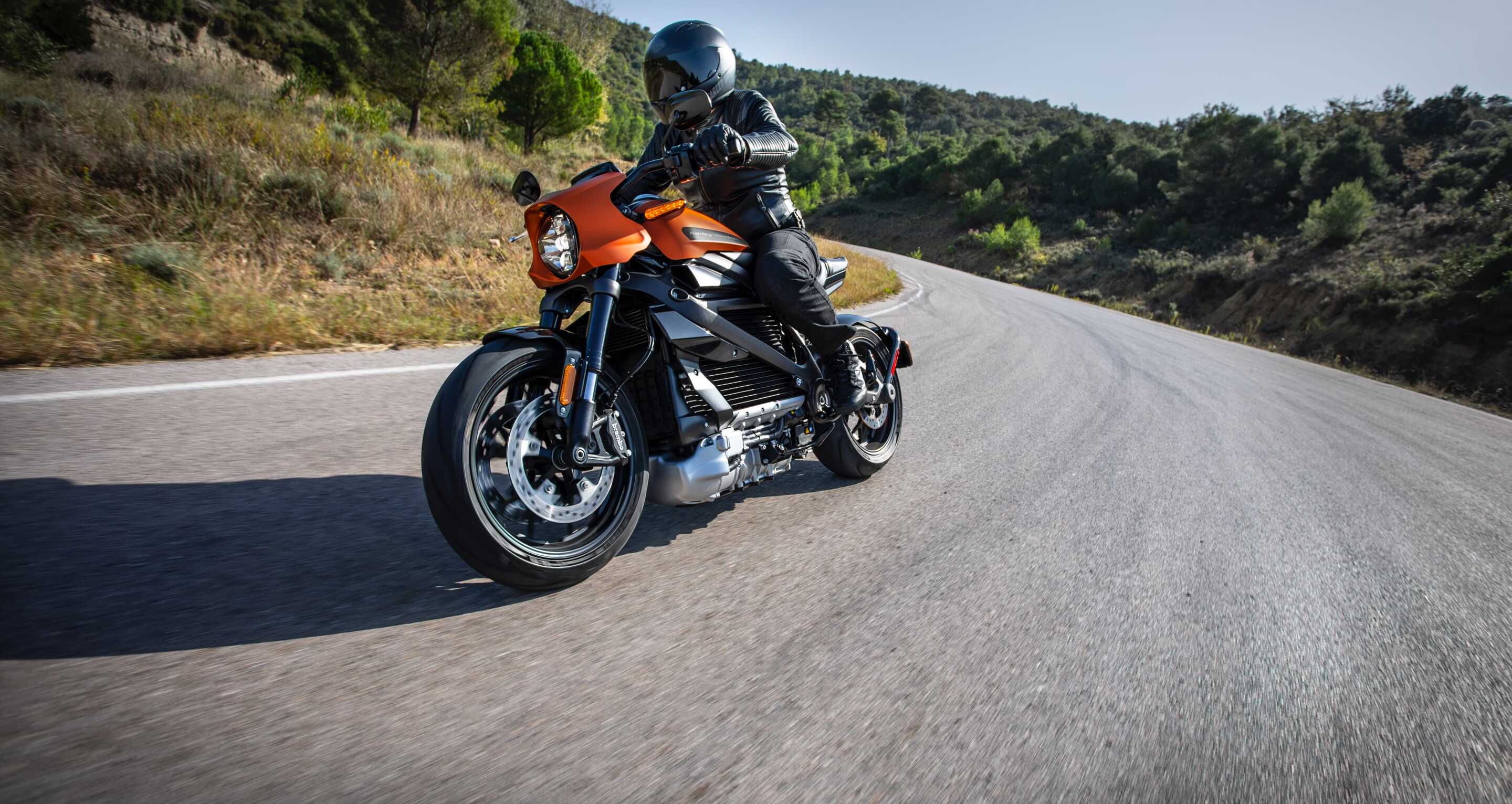 Rider on Harley-Davidson LiveWire on a curving road with trees in the background