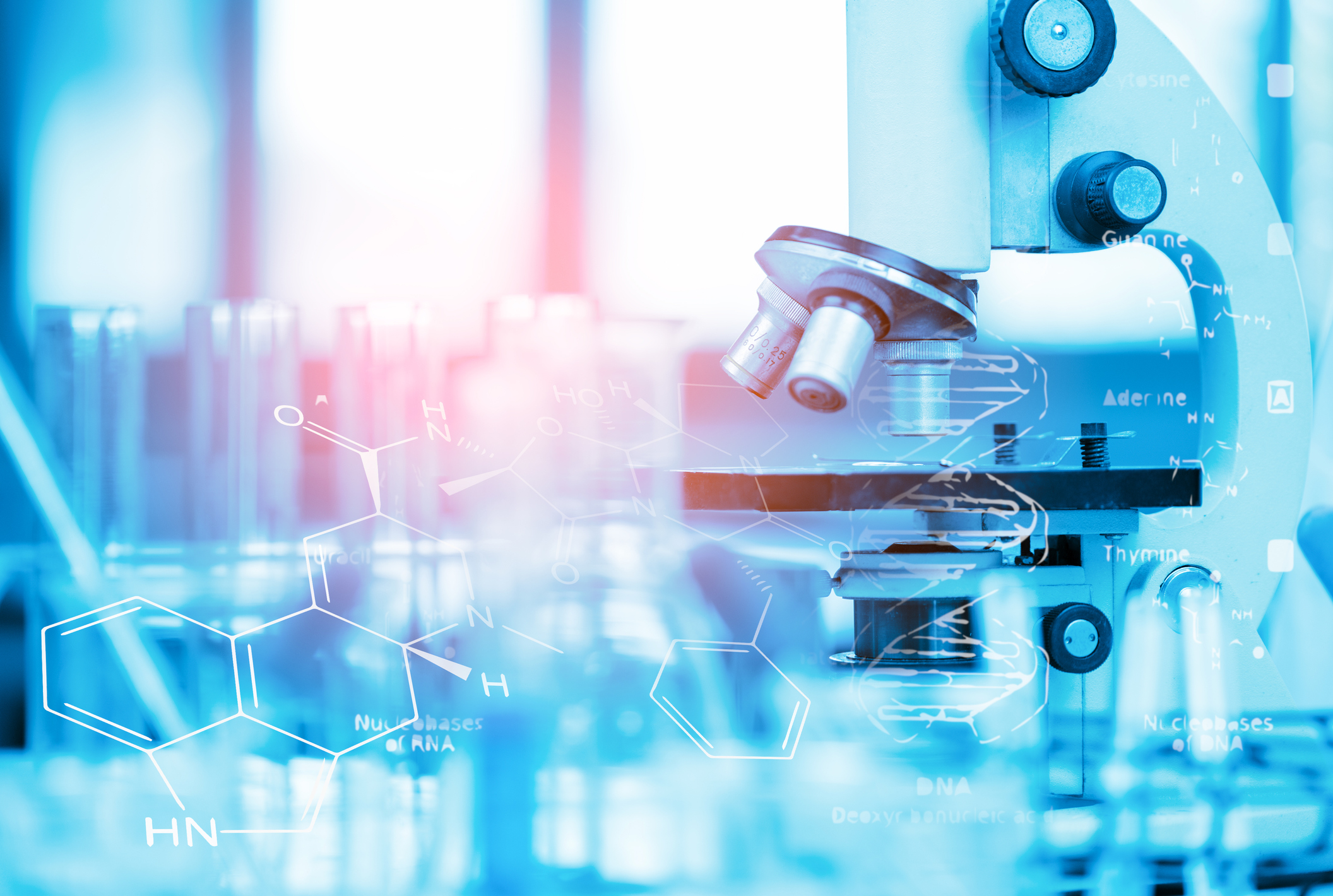 examining chemicals under a microscope