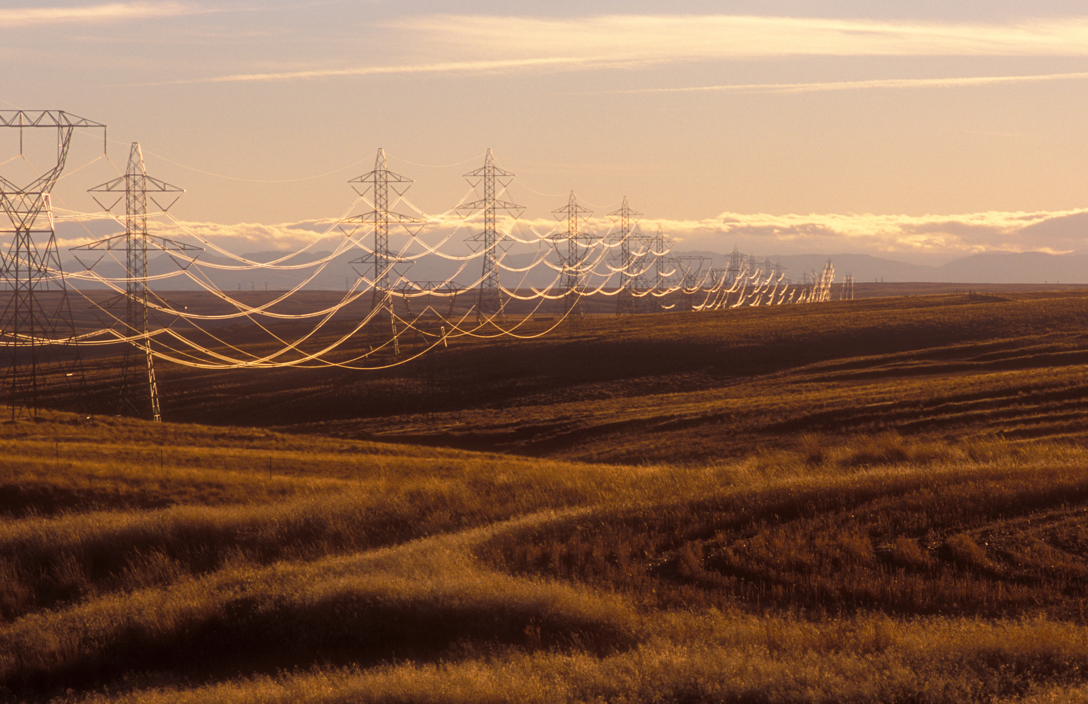 Utility transmission lines spread across farmlands.