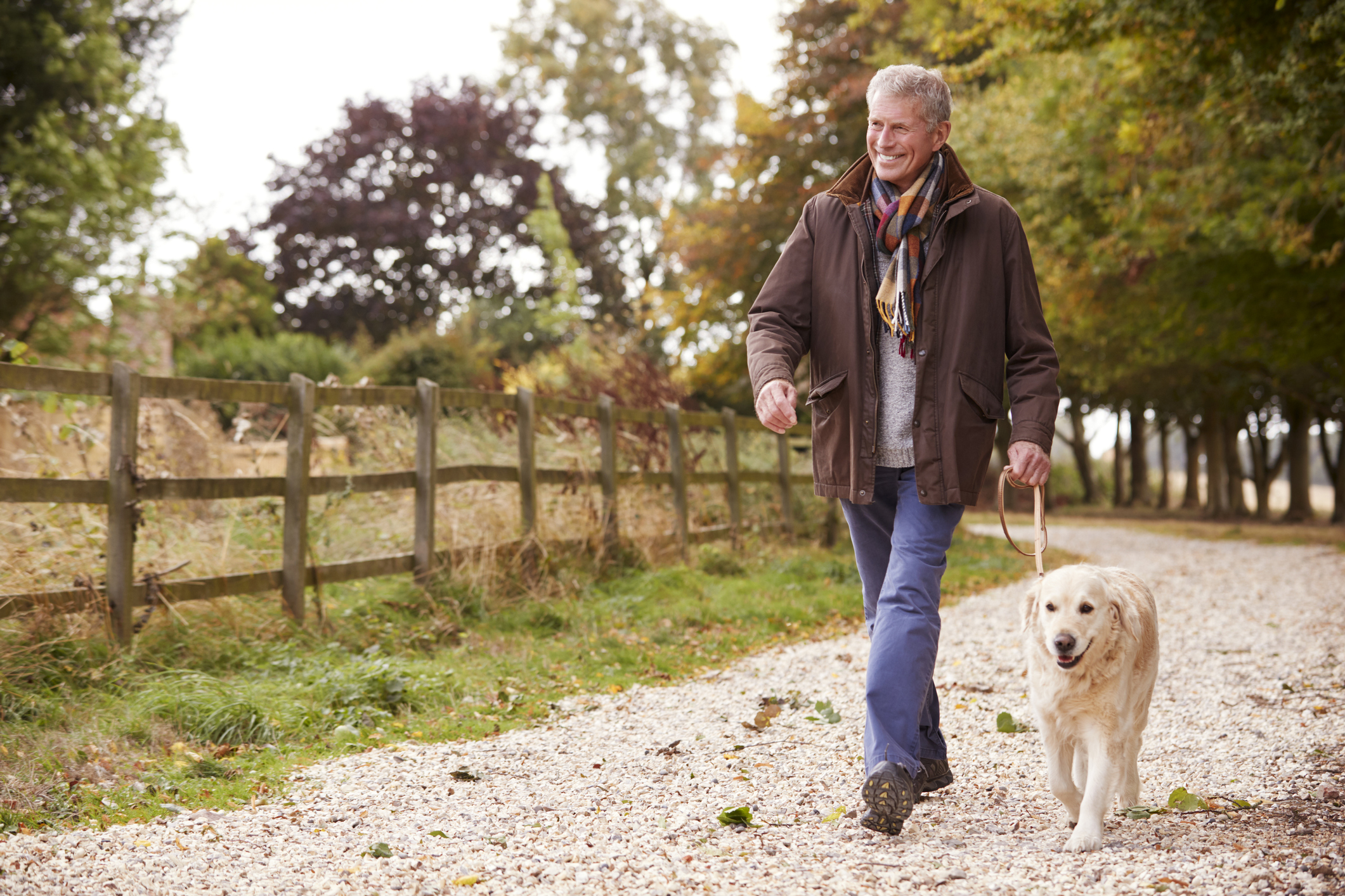 Smiling older man walking a dog